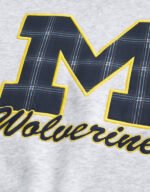 university of michigan wolverines graphic hoodie