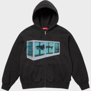 supreme damien hirst hoodie