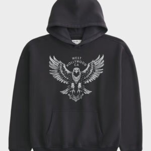 hollister boxy west hollywood hoodie