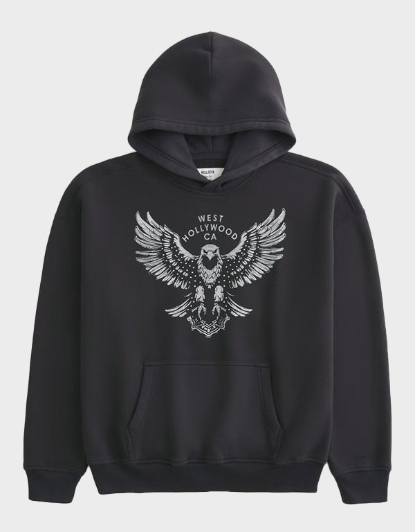 hollister boxy west hollywood hoodie hollister boxy west hollywood hoodie